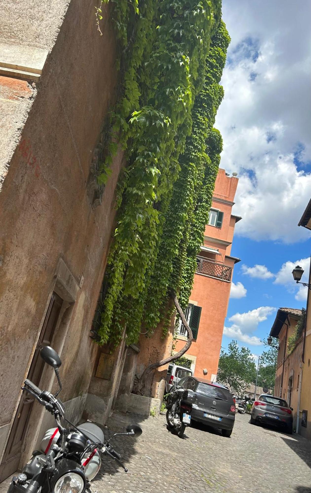 Garden House Trastevere Apartment Rom